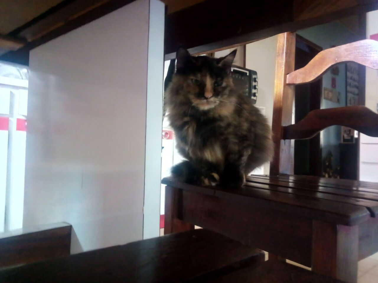 夜光激光跑，科技点亮运动未来，激光夜视仪价格